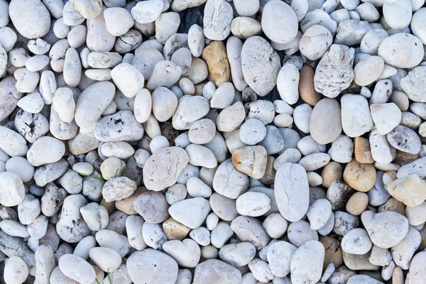 Pebbles Stones Background Texture — Stock Photo, Image