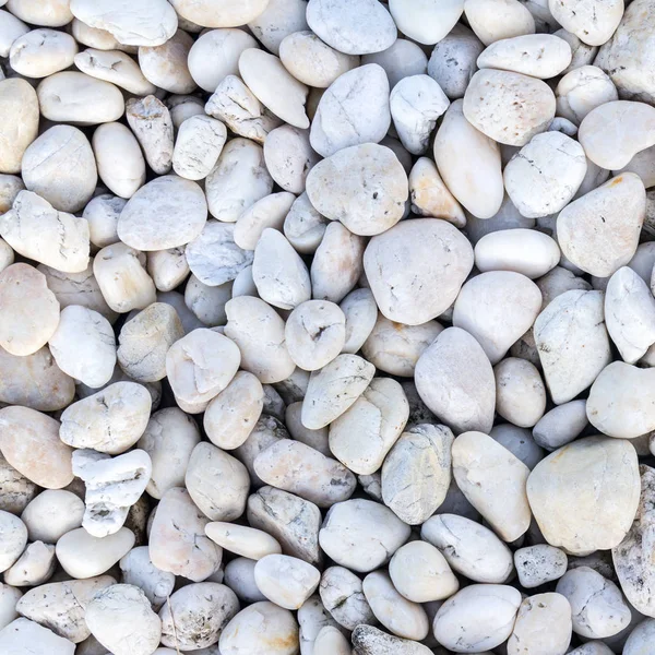 White Pebbles Stone Texture Background — Stock Photo, Image