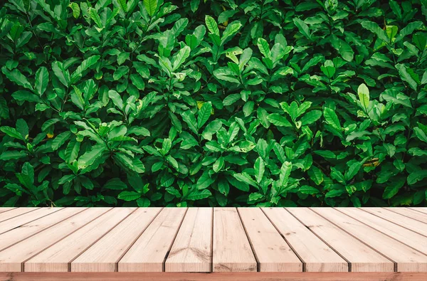 製品表示のための抽象的な自然な緑の葉の背景を持つ古い木製の板 — ストック写真