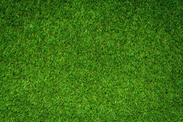 Green Field Grass Background Full Frame Foliage Texture — Stock Photo, Image