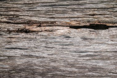 Eski ahşap doku arkaplanı 