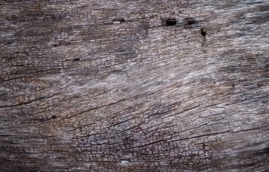 Eski ahşap doku arkaplanı 