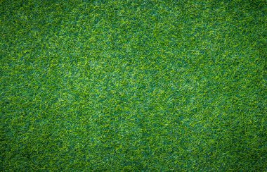 yeşil çim arka plan, tam çerçeve yeşillik doku, alan