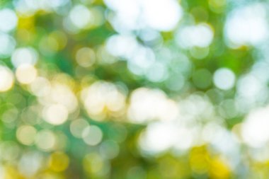 yeşil parlak bokeh bulanık arka plan 