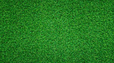 yeşil çim arka plan, tam çerçeve yeşillik doku, alan