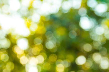 yeşil parlak bokeh bulanık arka plan 