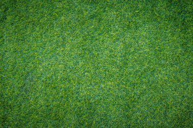 yeşil çimen dokusu arkaplanı