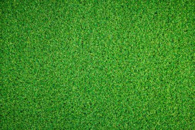 yeşil çim arka plan, tam çerçeve yeşillik doku, alan