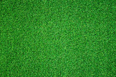 yeşil çim arka plan, tam çerçeve yeşillik doku, alan