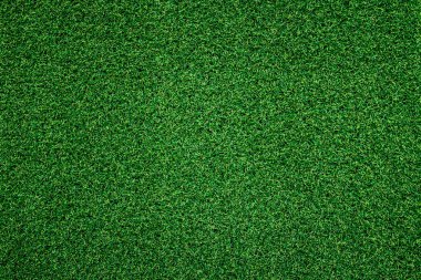 yeşil çim arka plan, tam çerçeve yeşillik doku, alan