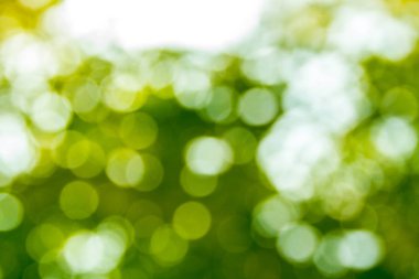 yeşil parlak bokeh bulanık arka plan 