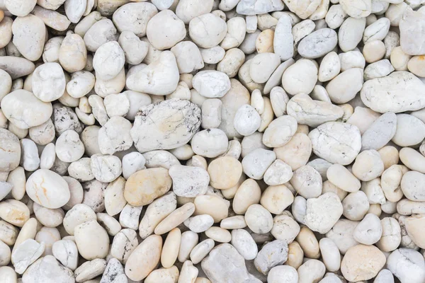 White Pebbles Stones Background — Stock Photo, Image