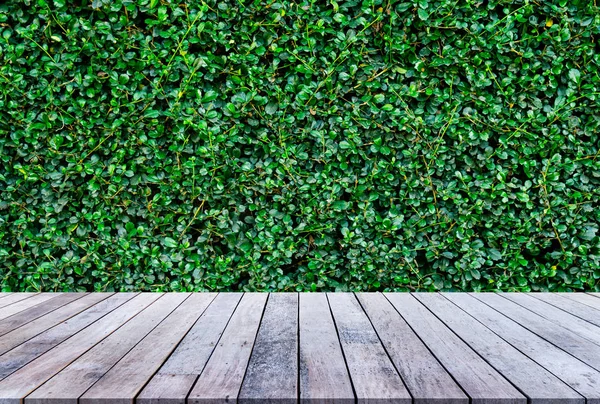 床に木製の板と茂みの緑の葉を成長 — ストック写真