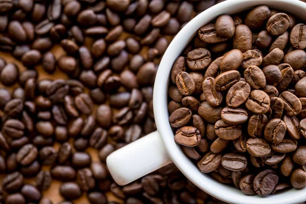 Weiße Kaffeetasse Voller Kaffeebohnen Samen Auf Der Tischfläche — Stockfoto