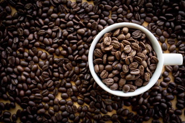 Weiße Kaffeetasse Voller Kaffeebohnen Samen Auf Der Tischfläche — Stockfoto