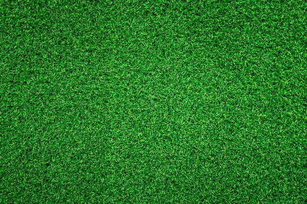 Fondo Hierba Verde Textura Follaje Marco Completo Campo — Foto de Stock