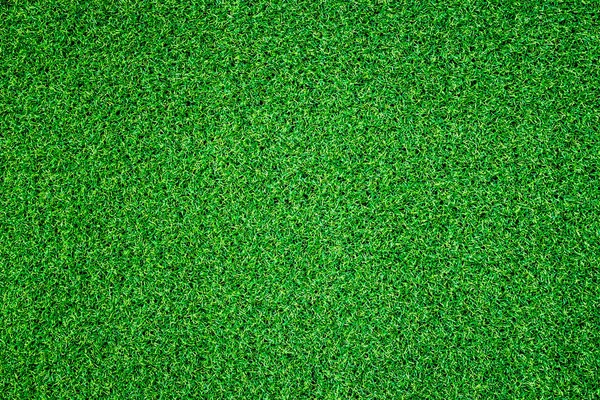 yeşil çim arka plan, tam çerçeve yeşillik doku, alan