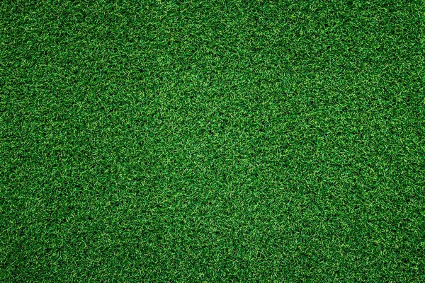 Groene Gras Achtergrond Volledige Frame Gebladerte Textuur Veld — Stockfoto