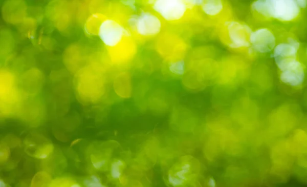 yeşil parlak bokeh bulanık arka plan 