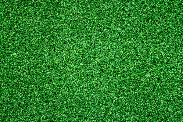 緑の草の背景 フルフレームの葉のテクスチャ フィールド — ストック写真