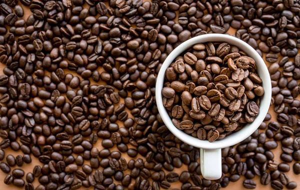 Weiße Kaffeetasse Voller Kaffeebohnen Samen Auf Der Tischfläche — Stockfoto