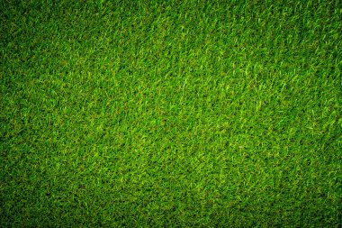 parlak doğal yeşil çim arka plan