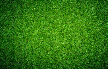 parlak doğal yeşil çim arka plan