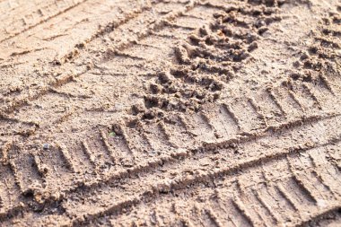 Kumda veya çamurda seçici odaklı motosiklet tekerleği izi