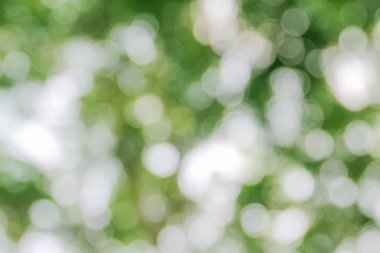 Bokeh ışık arka planda bulanık yeşil bırakın