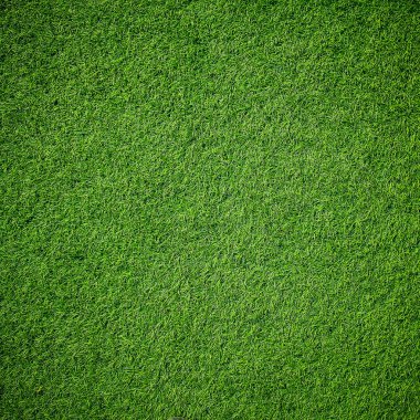 parlak doğal yeşil çim arka plan