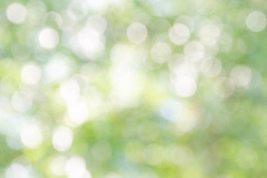 Bokeh ışık arka planda bulanık yeşil bırakın