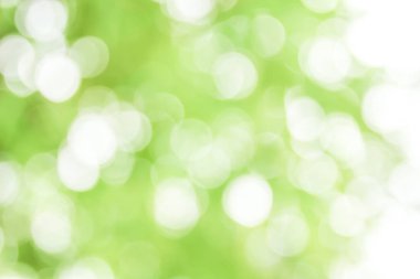 Bokeh ışık arka planda bulanık yeşil bırakın