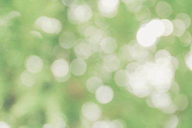 Bokeh ışık arka planda bulanık yeşil bırakın