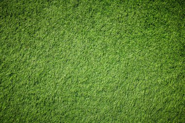 parlak doğal yeşil çim arka plan