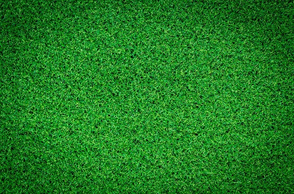 Jasny Naturalny Zielony Trawa Tło — Zdjęcie stockowe