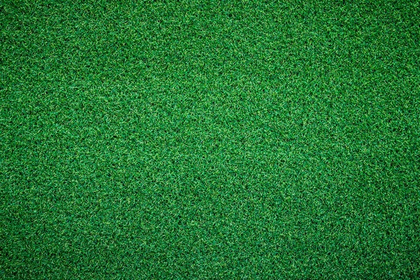 Fond Herbe Vert Naturel Brillant — Photo