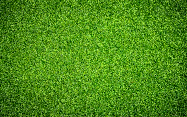 Fondo Hierba Verde Natural Brillante — Foto de Stock