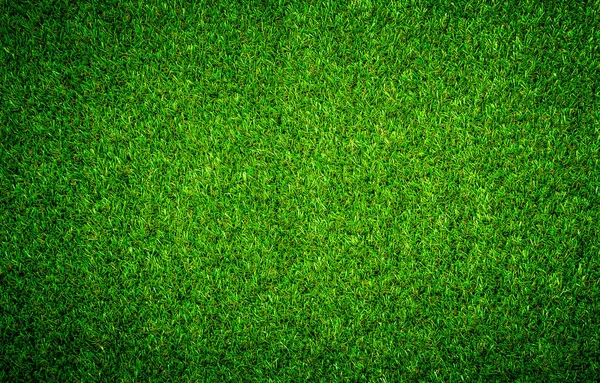 Fondo Hierba Verde Natural Brillante — Foto de Stock