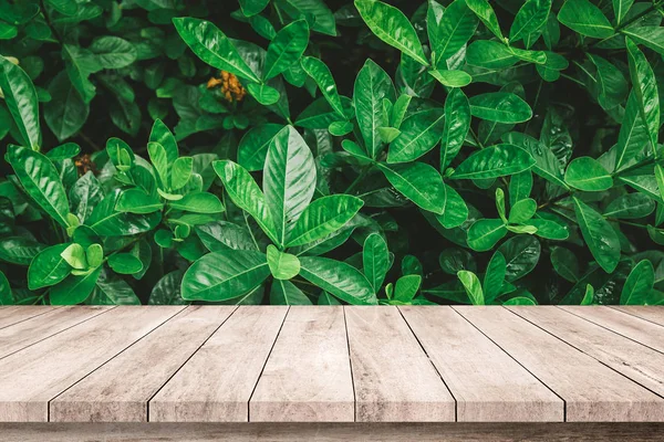 Alte Holzplanken Mit Abstrakten Natürlichen Grünen Blättern Hintergrund — Stockfoto