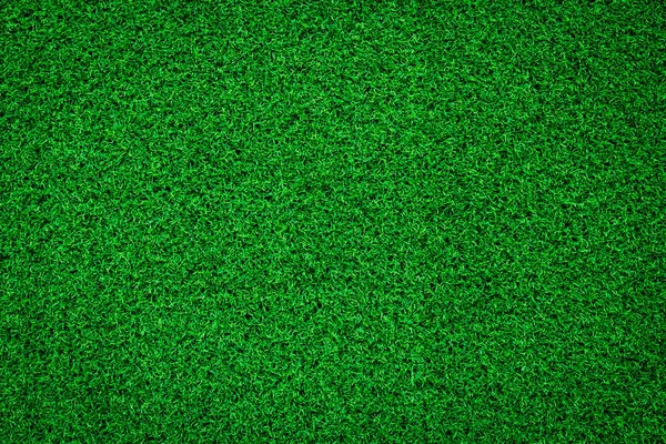 Fondo Hierba Verde Natural Brillante — Foto de Stock