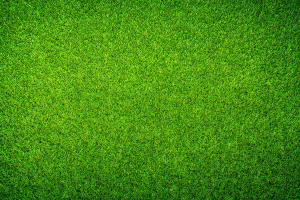 Яркий Естественный Зеленый Фон — стоковое фото