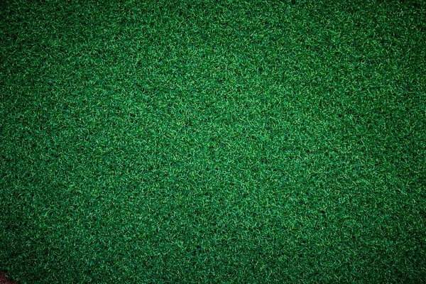 Fondo Hierba Verde Natural Brillante — Foto de Stock