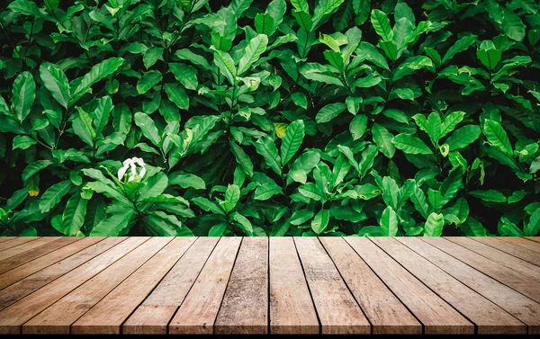 Oude Houten Planken Met Abstracte Natuurlijke Groene Bladeren Achtergrond — Stockfoto