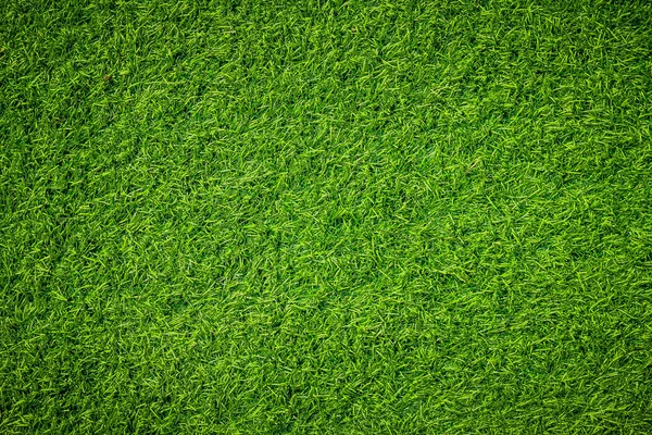 Fondo Hierba Verde Natural Brillante — Foto de Stock