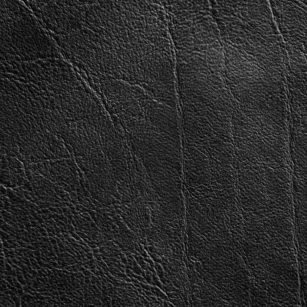 Abstrait Fond Texture Cuir Noir — Photo