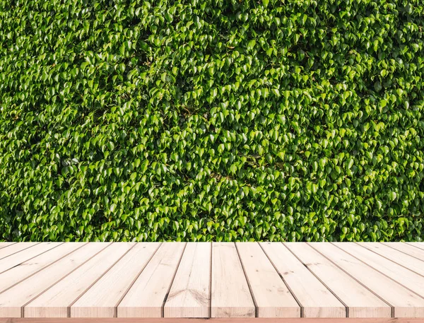 Alte Holzplanken Mit Abstrakten Natürlichen Grünen Blättern Hintergrund — Stockfoto