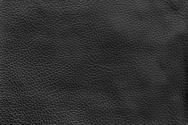 Textura Fondo Cuero Negro — Foto de Stock