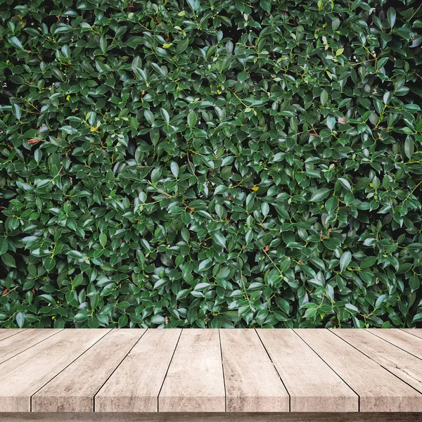 Holzplanken Mit Schönem Hintergrund Mit Blättern — Stockfoto