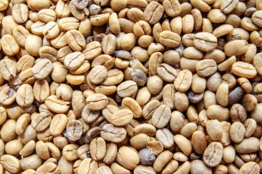 Kavrulmuş ya da yeşil kahve çekirdekleri.