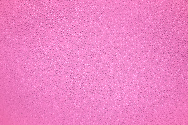 Water Rain Drops Pink Plastic Sheet Background — Stock Photo, Image